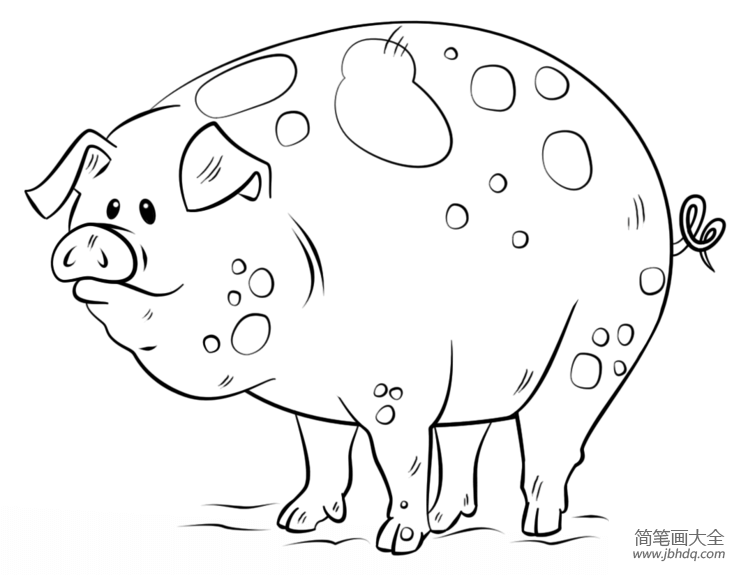 如何画卡通猪简笔画