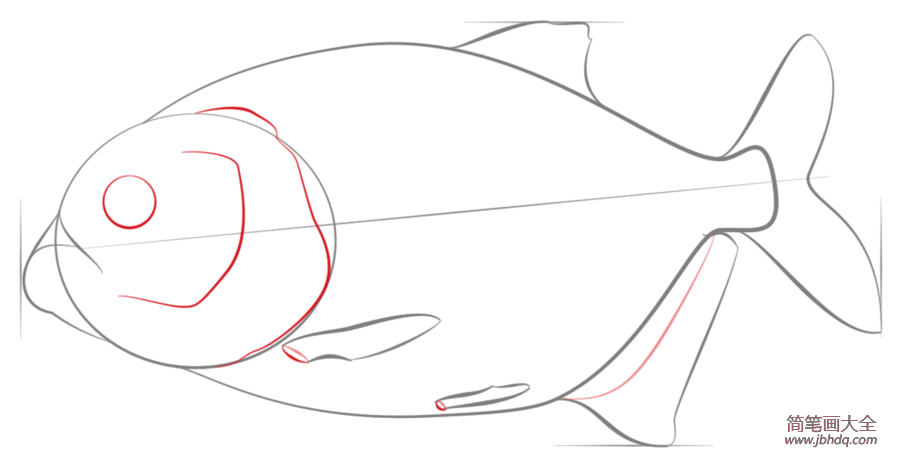 如何画食人鱼简笔画