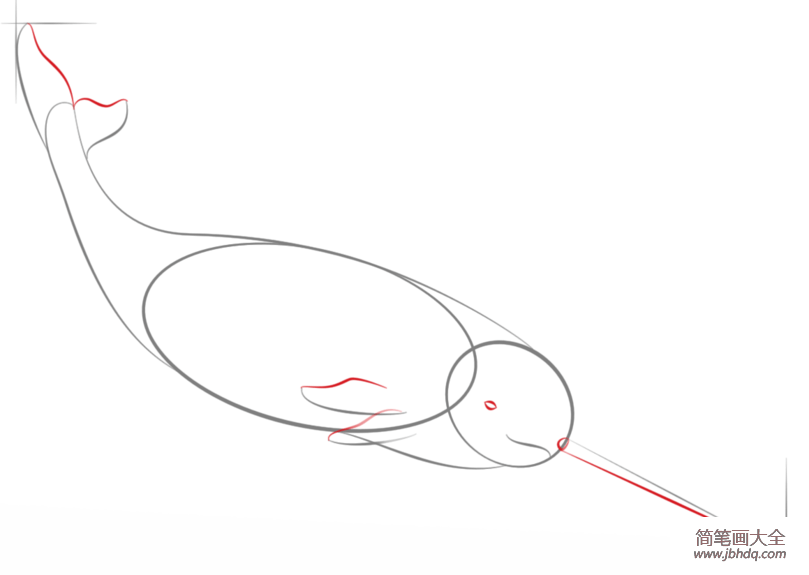 如何画独角鲸简笔画