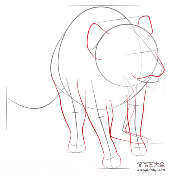 如何画袋獾简笔画