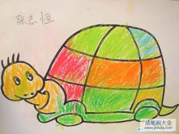 害羞的乌龟儿童画图片