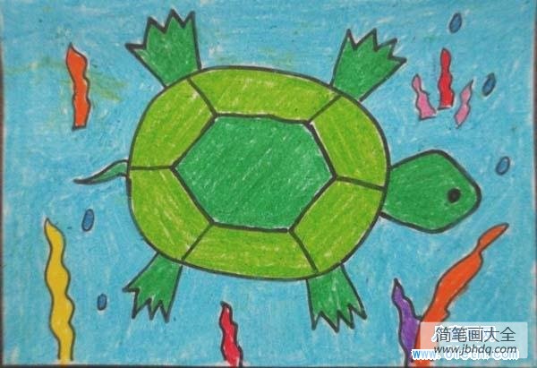 乌龟游泳儿童画图片