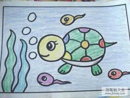 幼儿乌龟儿童画画图片：乌龟和蝌蚪