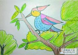 小学生鸟儿童画图片：啄木鸟
