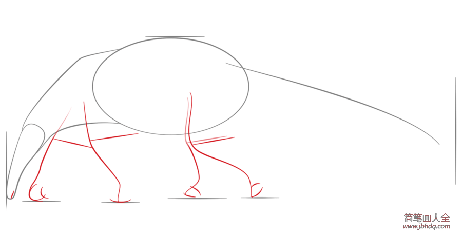 如何画食蚁兽