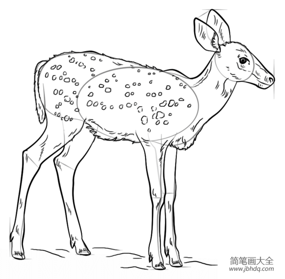 如何画小鹿