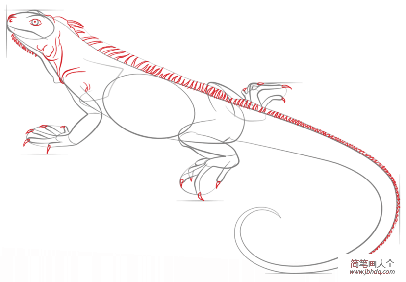 如何画鬣蜥