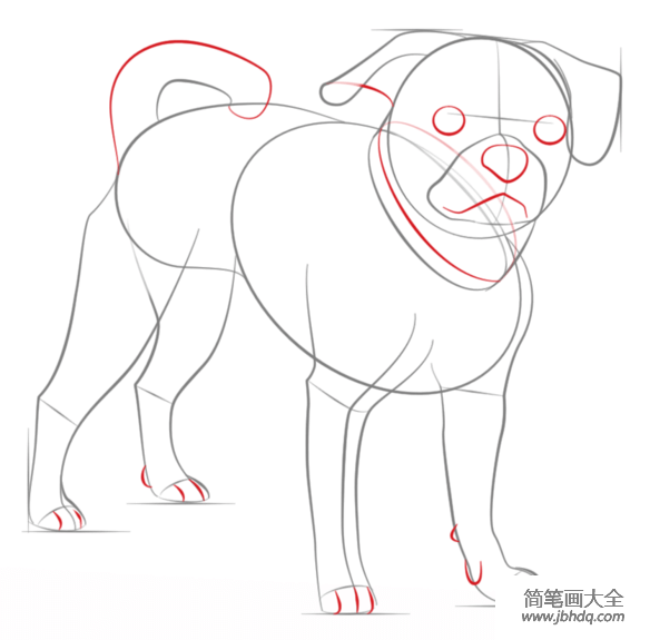 如何画巴格犬