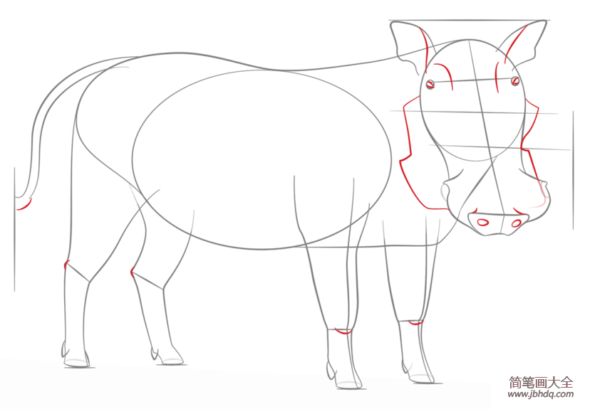 如何画疣猪简笔画