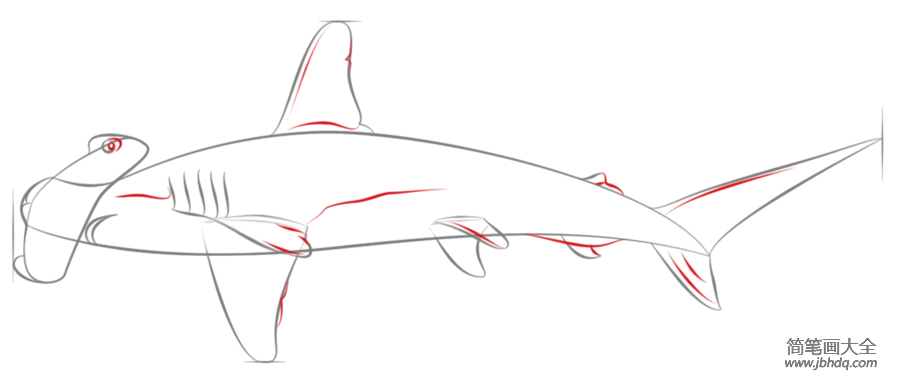 如何画锤头鲨鱼