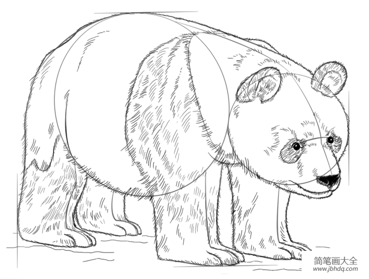 如何画大熊猫简笔画