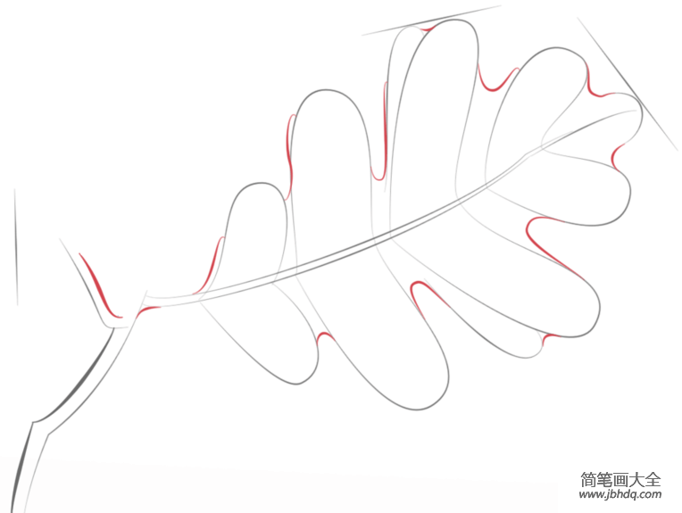 如何画一棵橡树的叶子