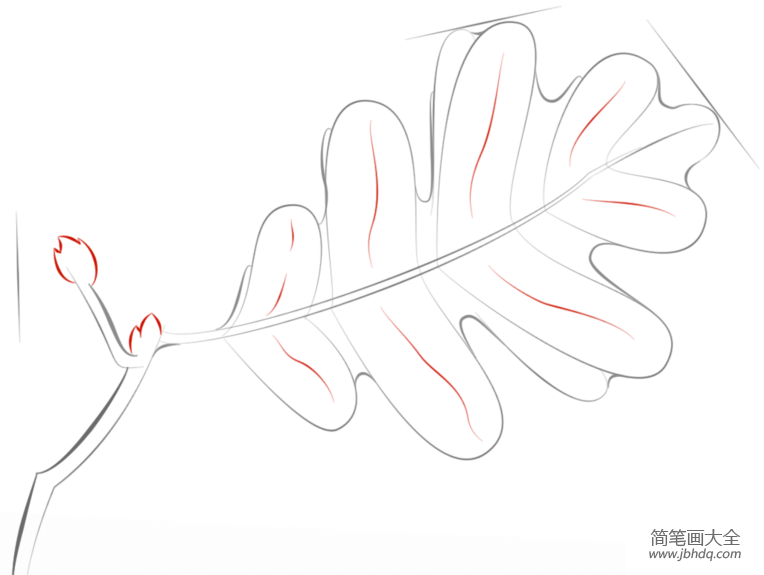 如何画一棵橡树的叶子