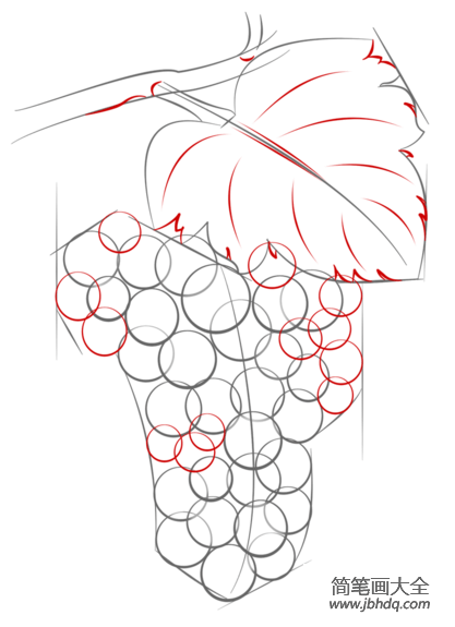 如何画葡萄