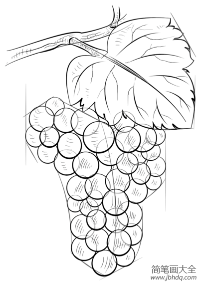 如何画葡萄