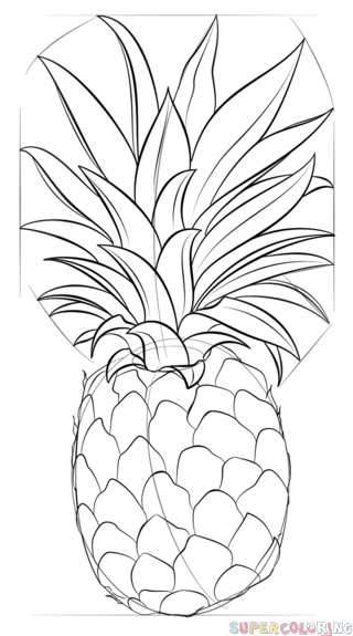 如何画菠萝