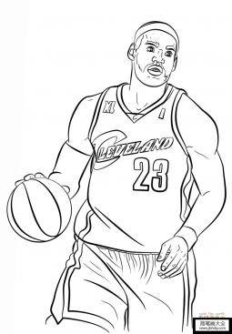 篮球运动员勒布朗詹姆斯