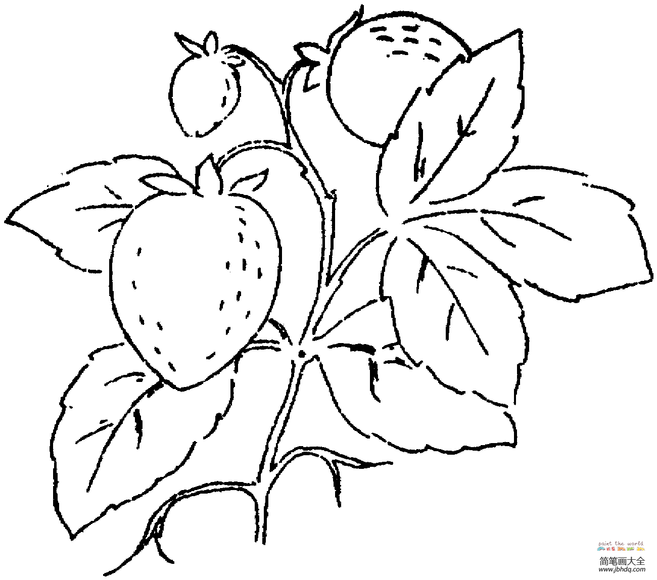 简笔画草莓树图片