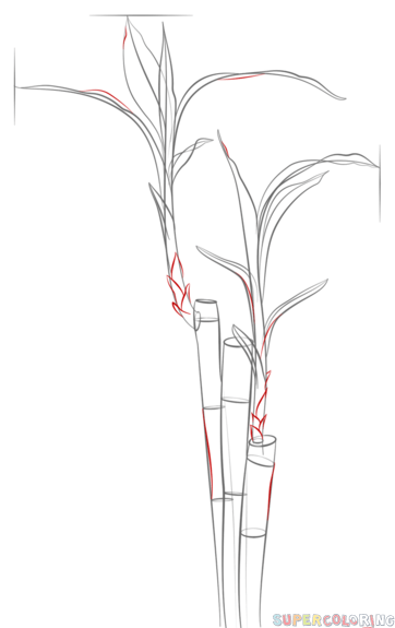 如何画竹子