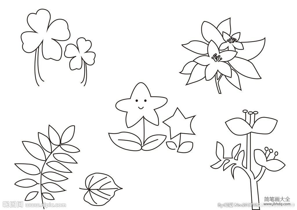 春天的植物简笔画图片