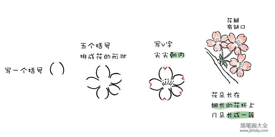简单的樱花怎么画