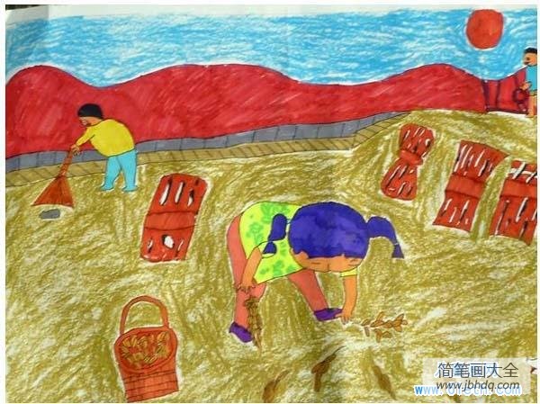 五一儿童画画图片:稻田里拾稻穗