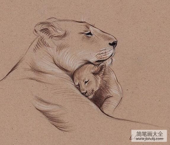 狮子妈妈和小狮子母亲节儿童创意画图片大全