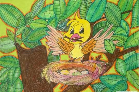 小鸟妈妈蜡笔画,绿色家园环保画作品分享