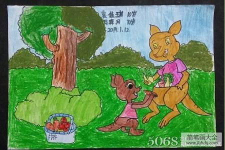 小袋鼠和袋鼠妈妈动物画画图片欣赏
