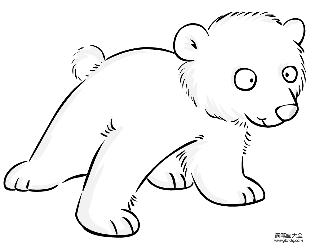 北极熊绘画手绘图片