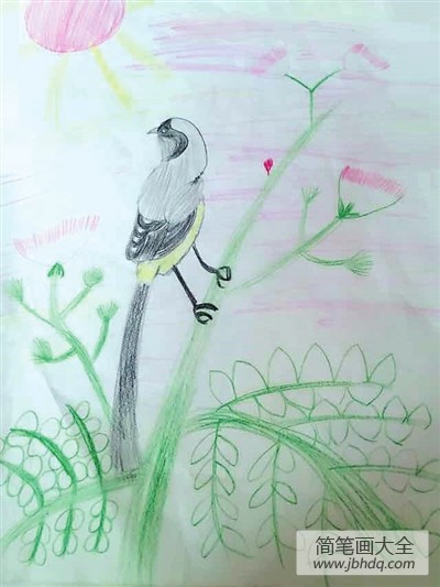 可爱的小鸟彩铅画