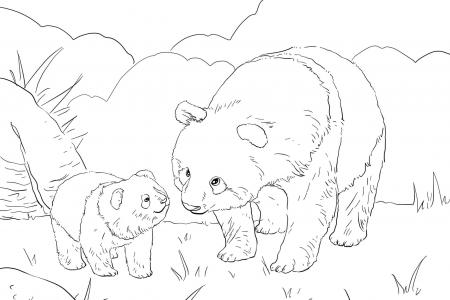 熊猫妈妈带着可爱的宝宝