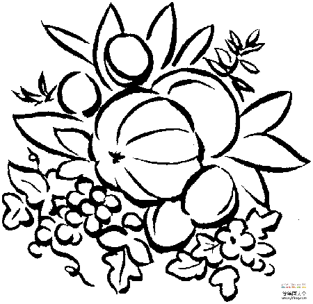 南瓜和花