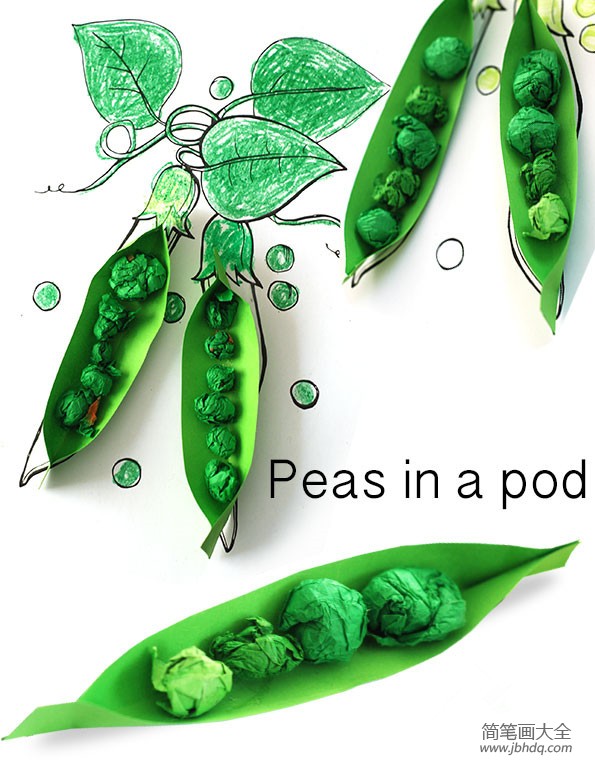 绿色豌豆荚半立体手工制作