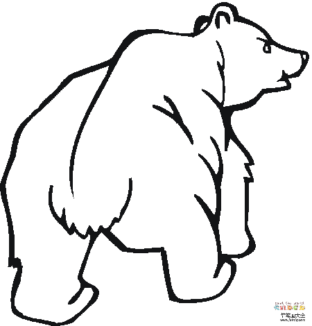 灰熊简笔画画法