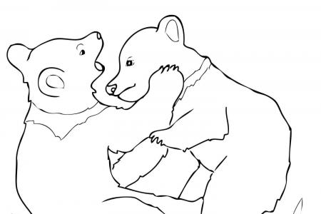 两只小灰熊在玩耍