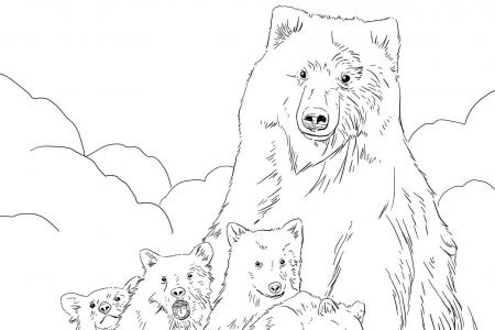 灰熊妈妈和幼崽