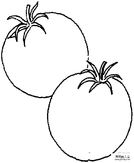 两个西红柿怎么画