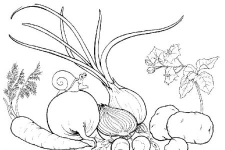 一幅关于蔬菜的简笔画图片