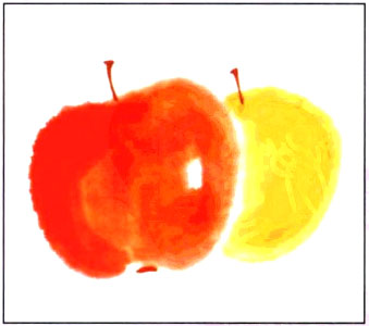 儿童国画基础教程1 红苹果