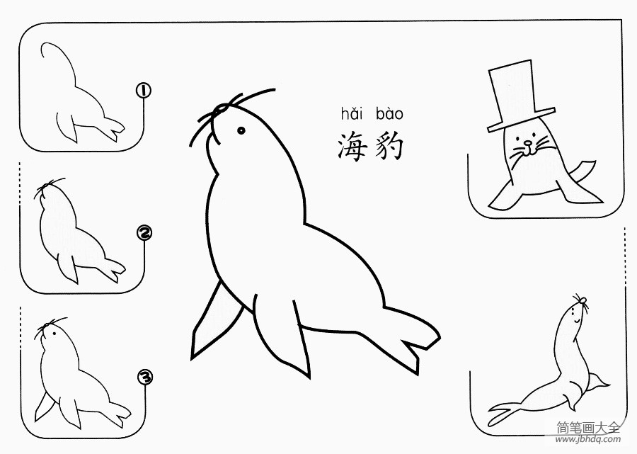 环斑海豹简笔画图片