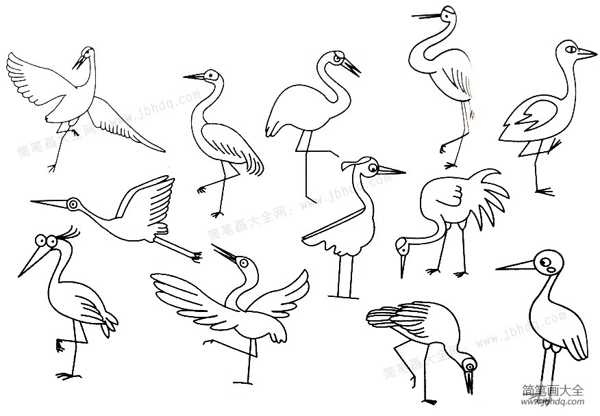 鹤的简笔画画法图片
