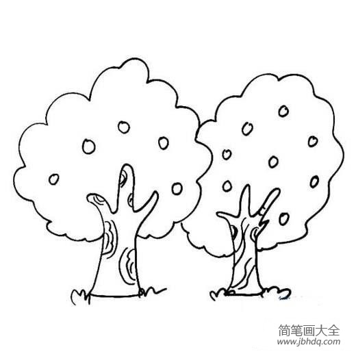 两颗大果树简笔画图片