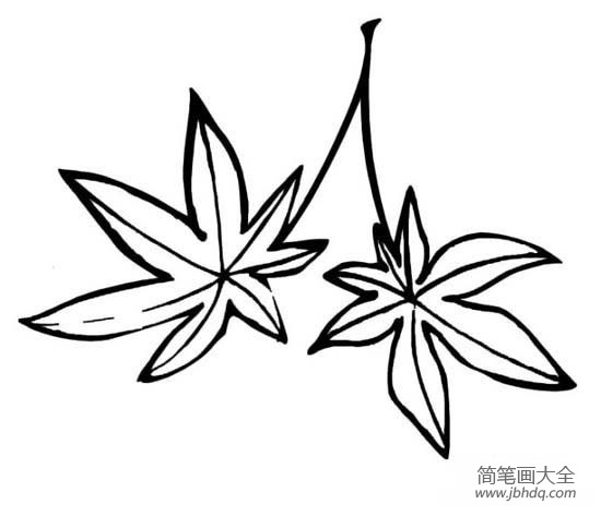 大树枫叶简笔画图片