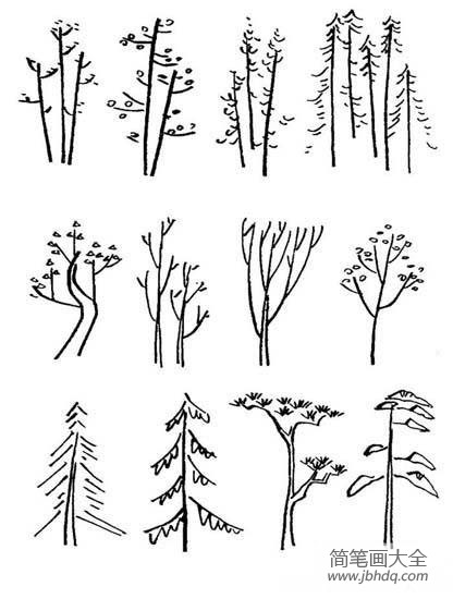 各种常见的大树简笔画