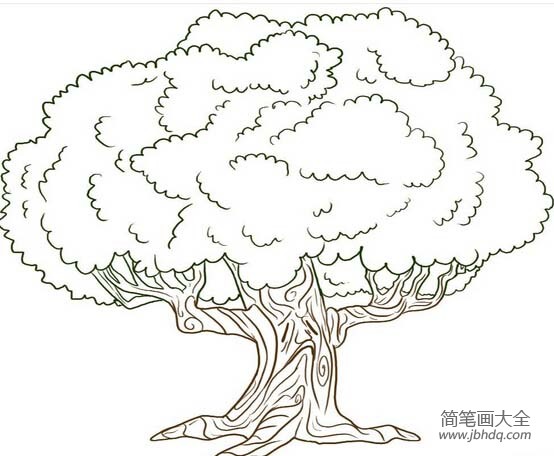 如何画卡通大树