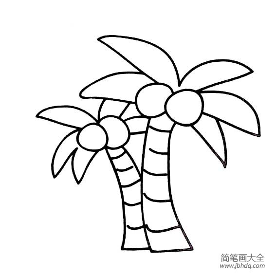 漂亮的椰子树简笔画图片