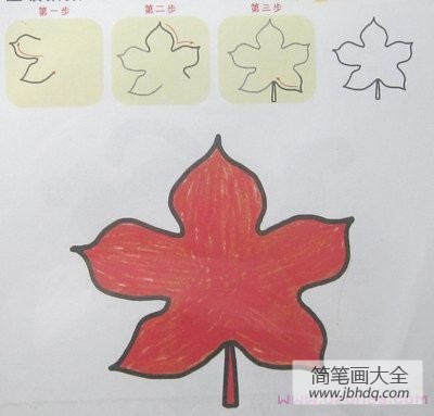 秋天红色的枫叶简笔画