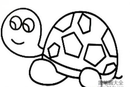 手绘可爱的小乌龟简笔画卡通图片素描