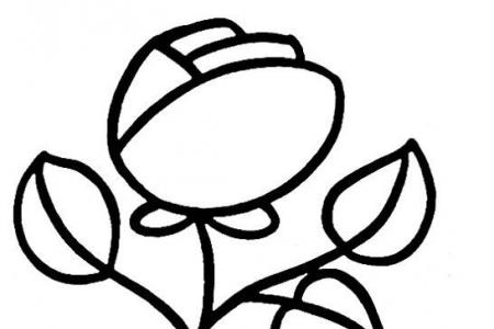 玫瑰花的画法步骤素描